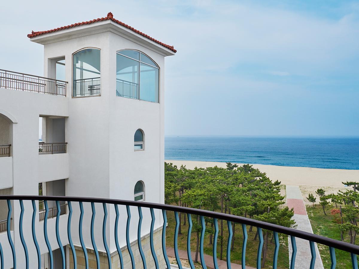 יאנגיאנג The Suites Hotel Naksan מראה חיצוני תמונה